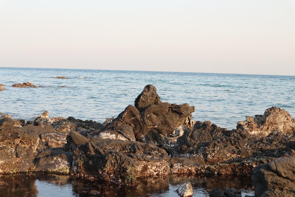 Blue Island Guesthouse Seogwipo Zewnętrze zdjęcie